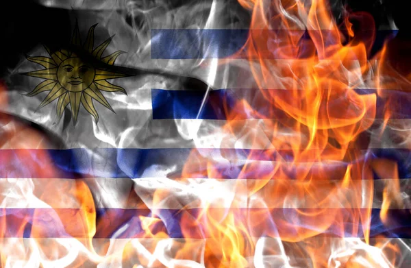 Demonstraties Oorlogsconcept Verbranden Vlammen Nationale Vlag Van Uruguay Rechtenvrije Stockfoto's