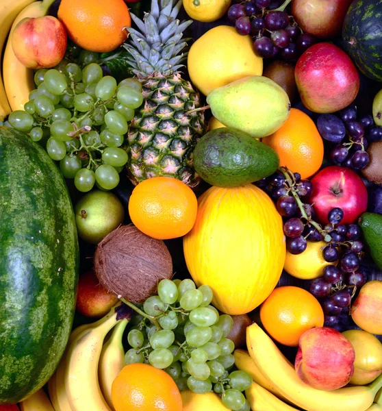 Enorme grupo de frutas frescas - Estudante de alta qualidade tiro — Fotografia de Stock