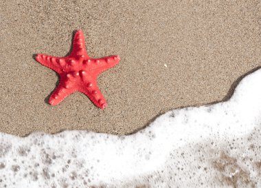 Deniz yıldızı ve okyanus dalgası tropikal kumsal üzerinde 