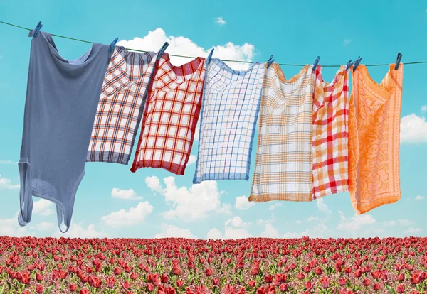 Laundry hanging over flower field — Stock Photo, Image