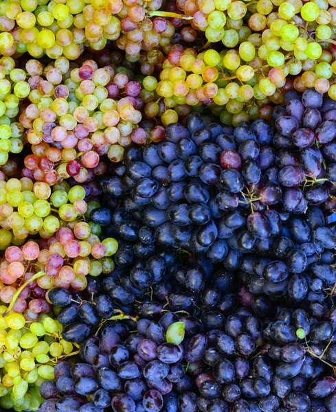 Fresh grapes fruit background — Stock Photo, Image