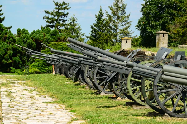 Cánones militares — Foto de Stock