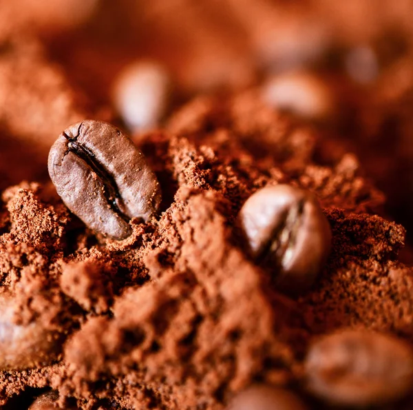 Close-up van twee koffiebonen op gebrande koffie heap macro-opname — Stockfoto
