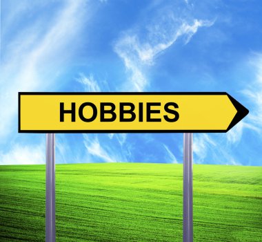 Conceptual arrow sign against beautiful landscape with text - HO