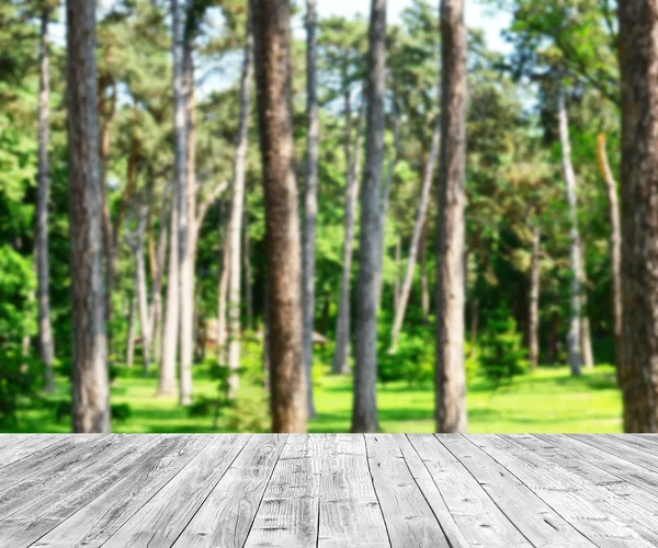 Bosque verde y tablones de madera fondo del piso — Foto de Stock