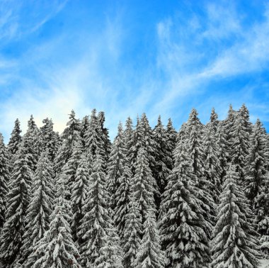 Güzel kış manzarası