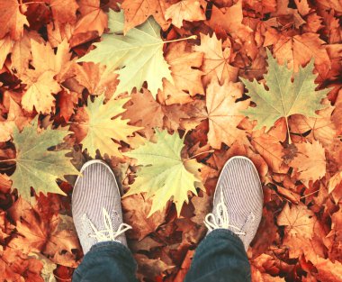 Doğada yürüme kavramsal görüntü