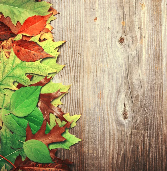 Autumn leaves over wooden background — Stock Photo, Image