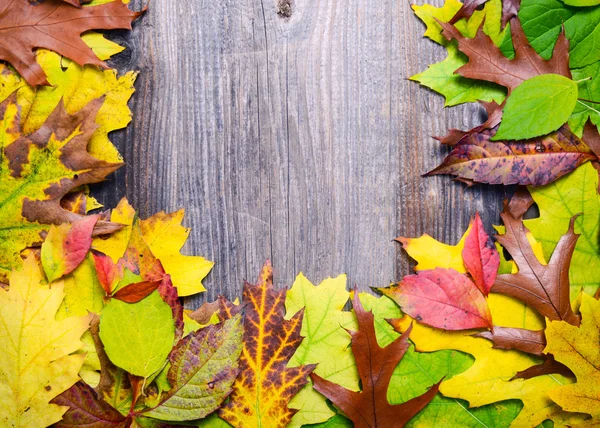 Feuilles d'automne sur fond en bois — Photo