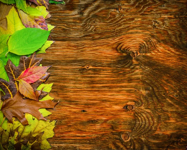 Hojas de otoño sobre fondo de madera —  Fotos de Stock