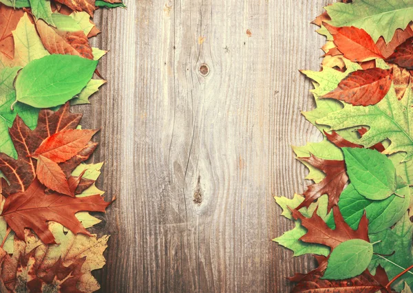 Autumn leaves over wooden background — Stock Photo, Image