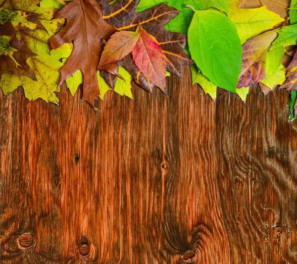 Herfst bladeren over houten achtergrond — Stockfoto