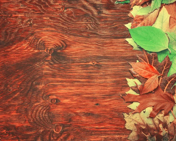 Foglie d'autunno su sfondo di legno — Foto Stock