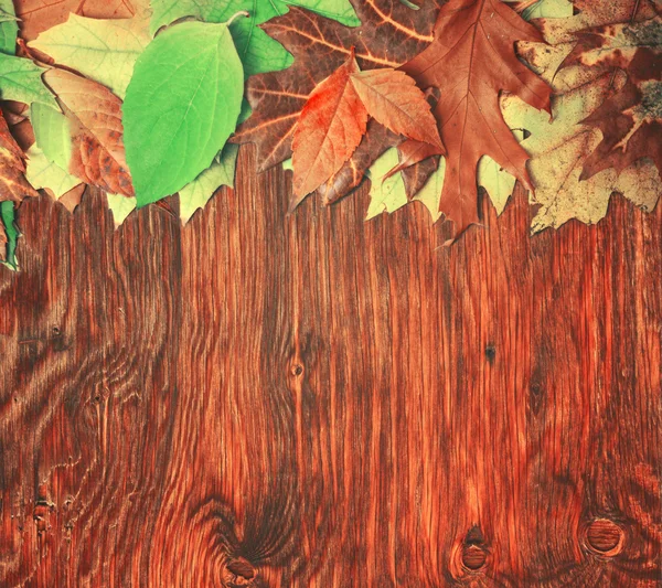 Autumn leaves over wooden background — Stock Photo, Image