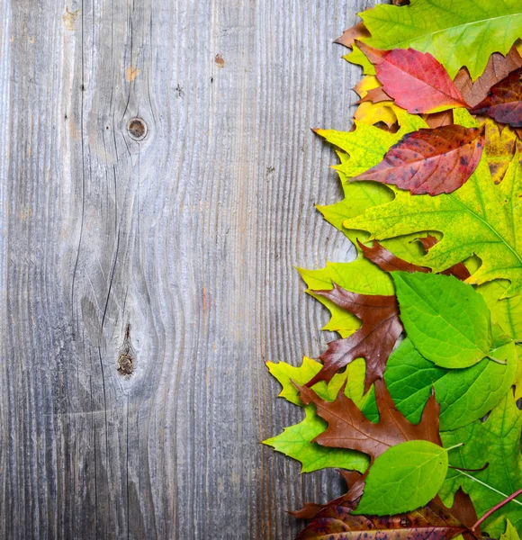 Jesienne liście na drewnianym tle — Zdjęcie stockowe