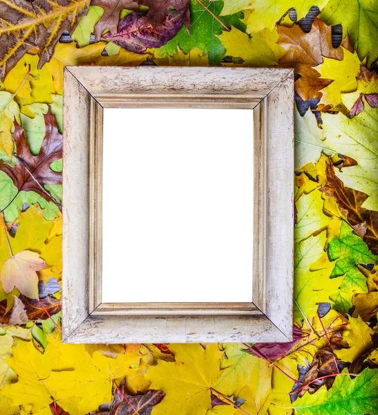 Cadre lumineux vintage blanc et feuilles colorées sur un backgro en bois — Photo