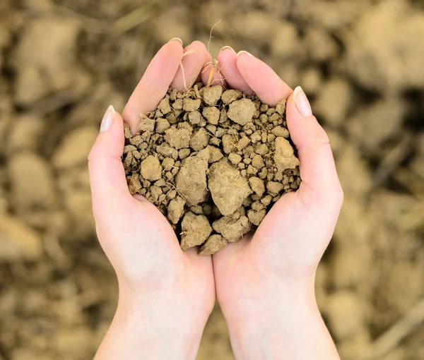 Soil in hands - Environment or agriculture concept — Stock Photo, Image