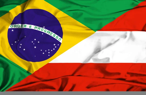 Avusturya ve Brezilya bayrağı sallayarak — Stok fotoğraf