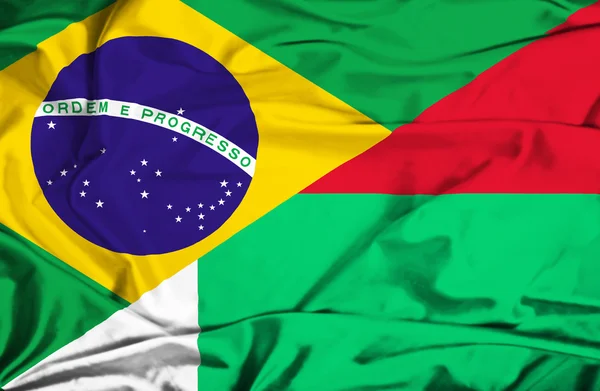 Flagge von Madagaskar und Brasilien schwenken — Stockfoto