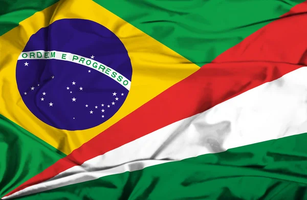 Flagge der Seychellen und Brasiliens schwenken — Stockfoto