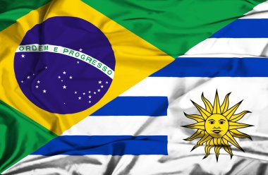 Uruguay ve Brezilya bayrağı sallayarak