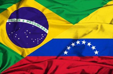 Venezuela ve Brezilya bayrağı sallayarak
