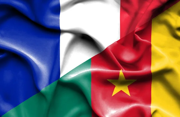 喀麦隆和法国那飘扬的旗帜 — 图库照片