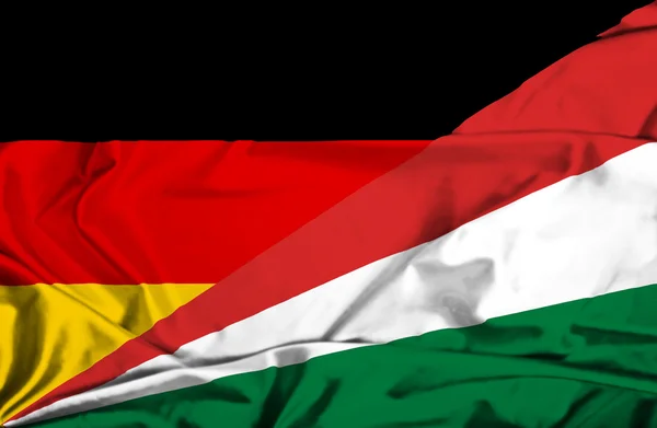 Flagge der Seychellen und Deutschlands schwenken — Stockfoto