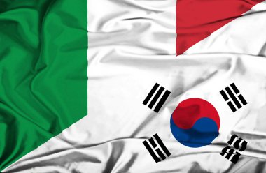 Güney Kore ve İtalya bayrağı sallayarak