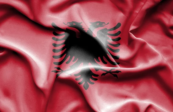 Albanien schwenkt Flagge — Stockfoto