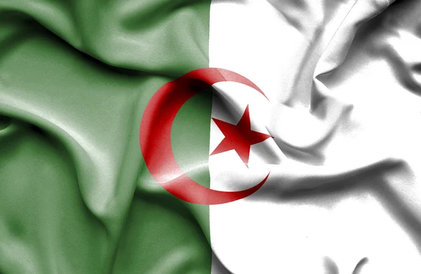 Algeriet viftande flagga — Stockfoto