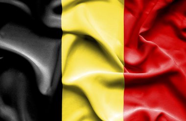 Belçika dalgalanan bayrak