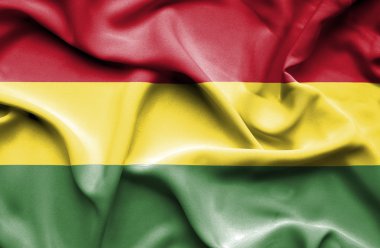 Bolivya dalgalanan bayrak