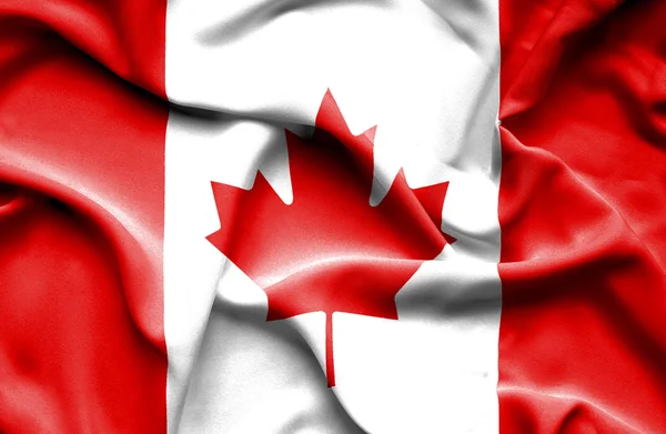 Canadá ondeando bandera —  Fotos de Stock