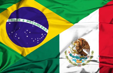 Meksika ve Brezilya bayrağı sallayarak