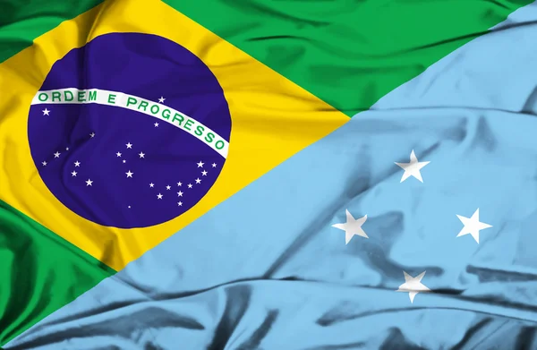 Flagge von Mikronesien und Brasilien schwenkend — Stockfoto