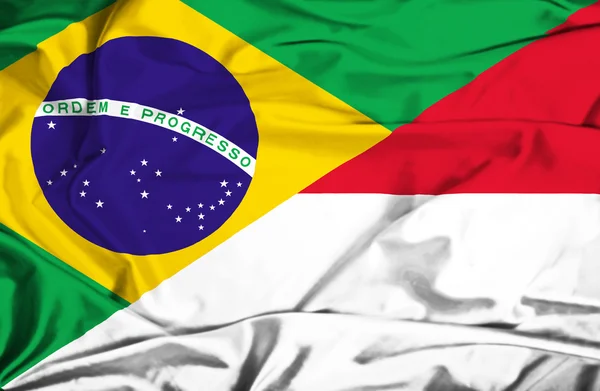 Flagge von Monako und Brasilien schwenken — Stockfoto