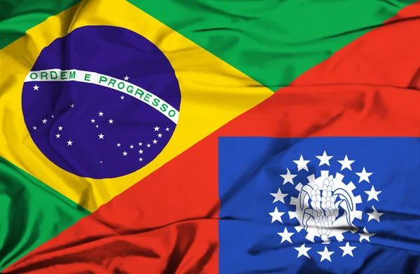 Myanmar ve Brezilya bayrağı sallayarak