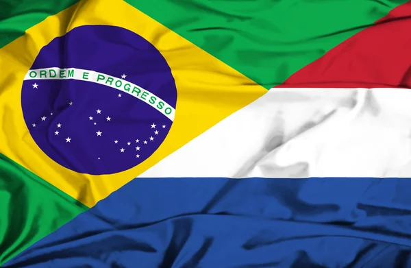 Hollanda ve Brezilya bayrağı sallayarak — Stok fotoğraf