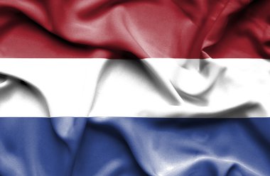 Hollanda dalgalanan bayrak