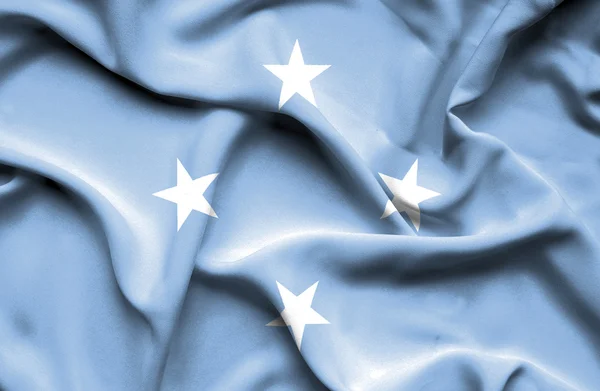 Micronesia ondeando bandera —  Fotos de Stock