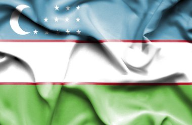 Özbekistan dalgalanan bayrak