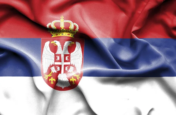 Serbia ondeando bandera —  Fotos de Stock