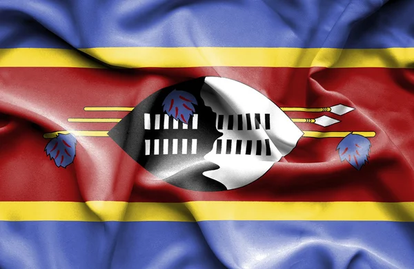 Swaziland viftande flagga — Stockfoto