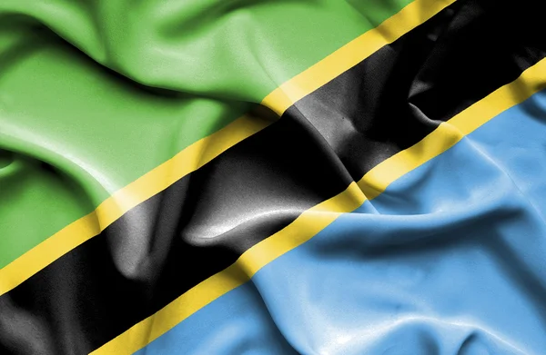 Tanzania waving flag — Stock Photo, Image