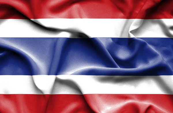 泰国挥动国旗 — 图库照片