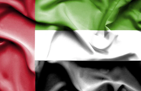 Vereinigte Arabische Emirate schwenken Flagge — Stockfoto