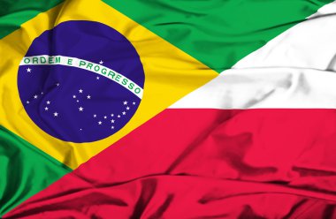 Polonya ve Brezilya bayrağı sallayarak