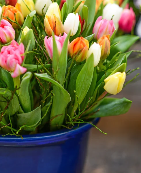 Fresh tulips in vase — Stock Photo, Image