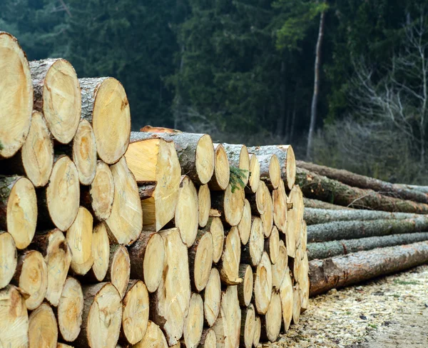 Mucchio di tronchi di legno pronti per l'inverno — Foto Stock